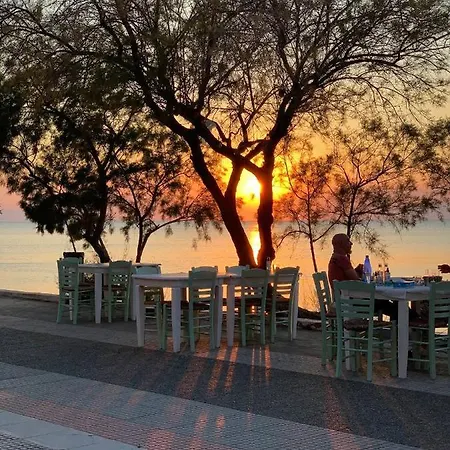 Niko's - Beautiful Sea !