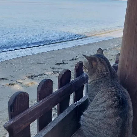 Niko's - Beautiful Sea ! Apartment *